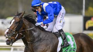 Shailer lowers the bar for Mister Bianco